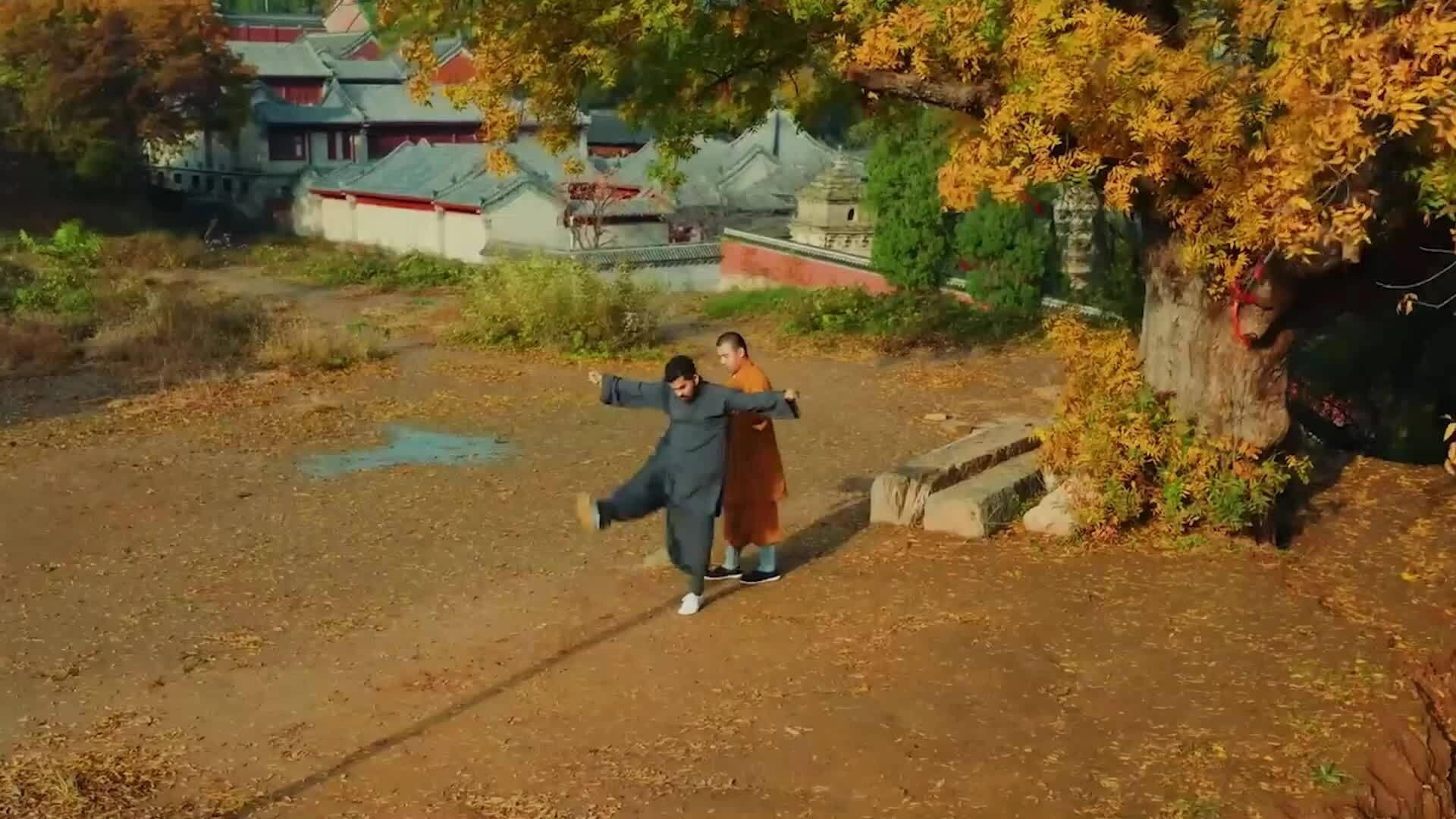 Một ngày học kungfu