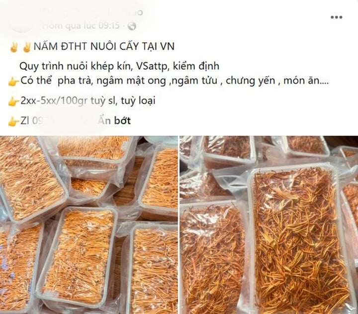 1784548519-59eefc69a7-dong-trung-ha-thao-2-47-width720height631 Người tiêu dùng gần như không thể phân biệt đông trùng hạ thảo chất lượng chỉ bằng mắt thường. (Ảnh chụp màn hình)