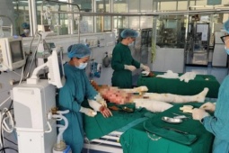 adt1721131144-no-vinh-phuc-1721122293363479347815-__anh_cat_3_2 Thông tin mới nhất về sức khoẻ các nạn nhân của vụ nổ ở Vĩnh Phúc