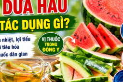 adt1781251349-4b533e1925-chatgpt-image-10-thg-6-2__anh_cat_3_2 Đừng vội bỏ thứ này: Bộ phận ít ai ngờ lại là vị thuốc thanh nhiệt, lợi tiểu trong Đông y