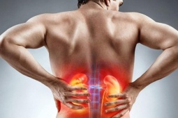 Người đàn ông 50 tuổi suy thận cấp sau khi ăn hàu sống nhiễm "vi khuẩn ăn thịt người"