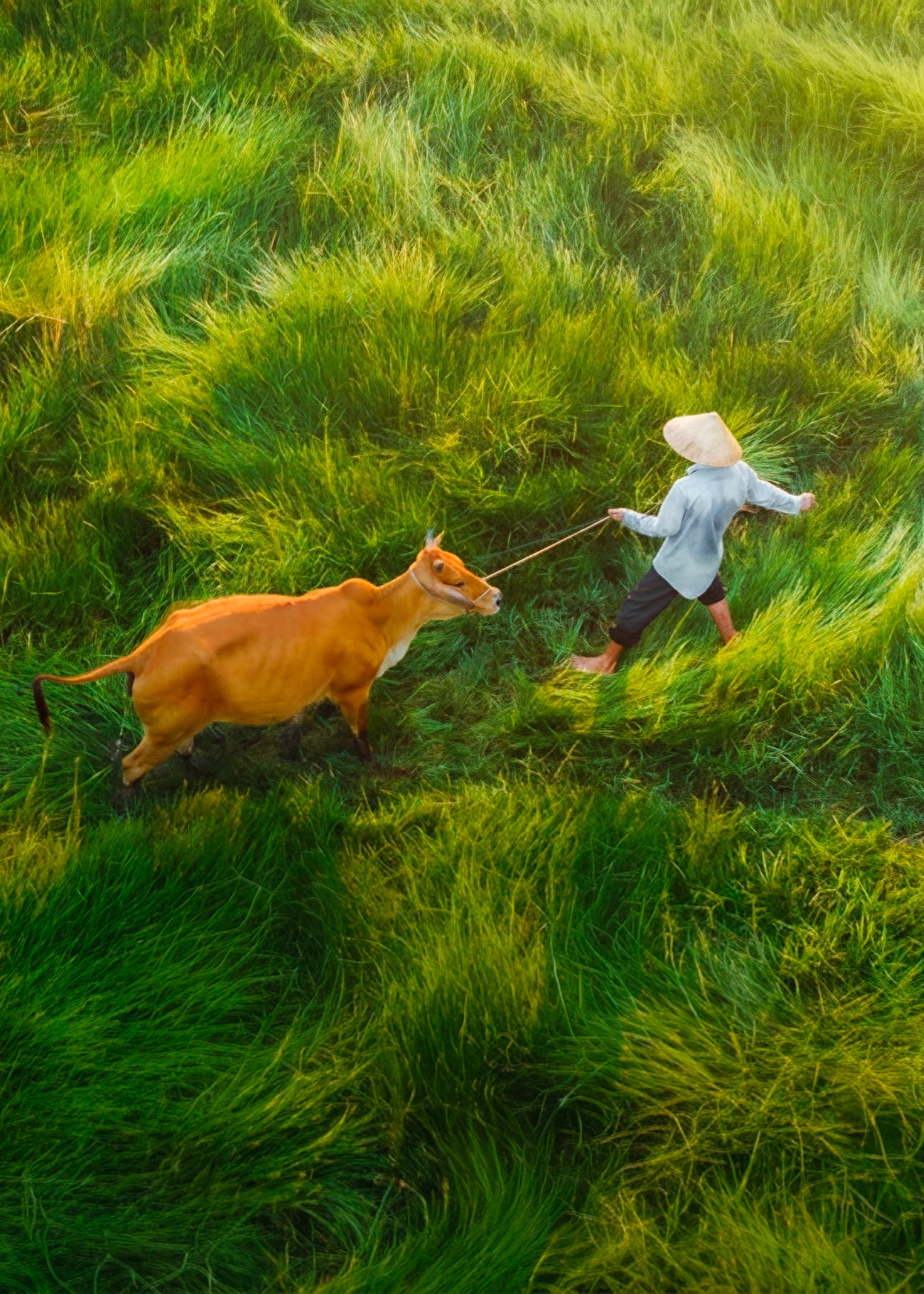 dji-20240714084736-0136-d-edit-1783617398-1783617978