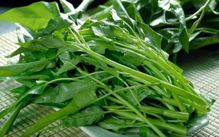 1785227531-242f8826c9-rau-muong-width740height463 Rau muống giàu chất xơ, vitamin và khoáng chất, nhưng người bị đau dạ dày có nên ăn hay không vẫn là thắc mắc của nhiều người