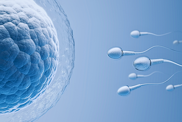 1786524405-143024d6de-improve-sperm-motility-understanding-sperm-movement-male-fertility-5383-width730height487 Cách chính xác nhất để biết chất lượng tinh trùng có tốt không là làm xét nghiệm tinh dịch đồ tại cơ sở y tế chuyên khoa. Ảnh minh họa AI