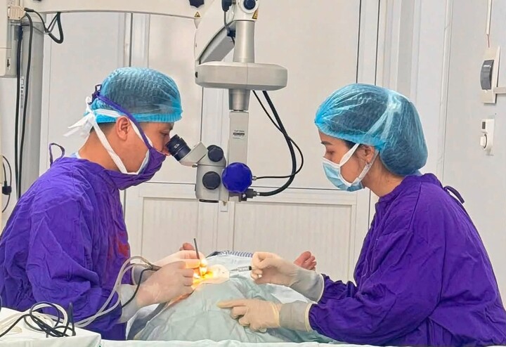 1786838401-5e355871cc-benh-mat-04-width720height494 Glaucoma gây mù thầm lặng, nhiều người phát hiện khi đã muộn. (Ảnh: BVCC)