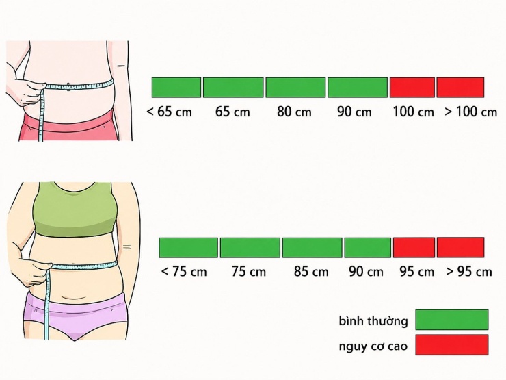 1787559508-638814b934-2-7766-3674-7980-width740height555 Duy trì vòng eo trong ngưỡng an toàn giúp giảm nguy cơ mắc bệnh tim mạch, tiểu đường và nhiều bệnh mạn tính khác. Ảnh: Wiki How