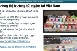 adt1783764596-65f7262992-img-0519__anh_cat_3_2 Giới trẻ trước hiểm hoạ từ túi ngậm nicotine, Bộ Y tế đề xuất cấm toàn diện