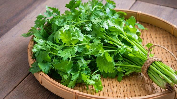 Rau mùi là một vị thuốc tự nhiên sở hữu bảng thành phần dinh dưỡng vô cùng ấn tượng. (Ảnh: VietNamNet)