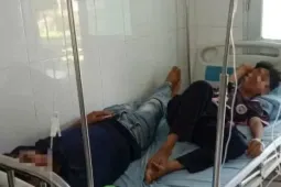 Ăn nấm rừng, người chồng tử vong, 3 mẹ con vẫn đang nhập viện