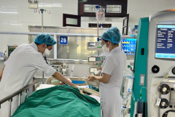 Hôn mê, suy gan vì tự ý dùng thuốc nam không rõ nguồn gốc