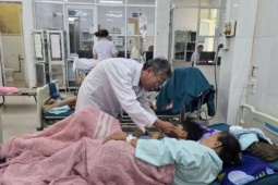 42 người nghi ngộ độc sau khi ăn bánh mì ở tiệm mới khai trương, Quảng Trị khẩn trương làm rõ