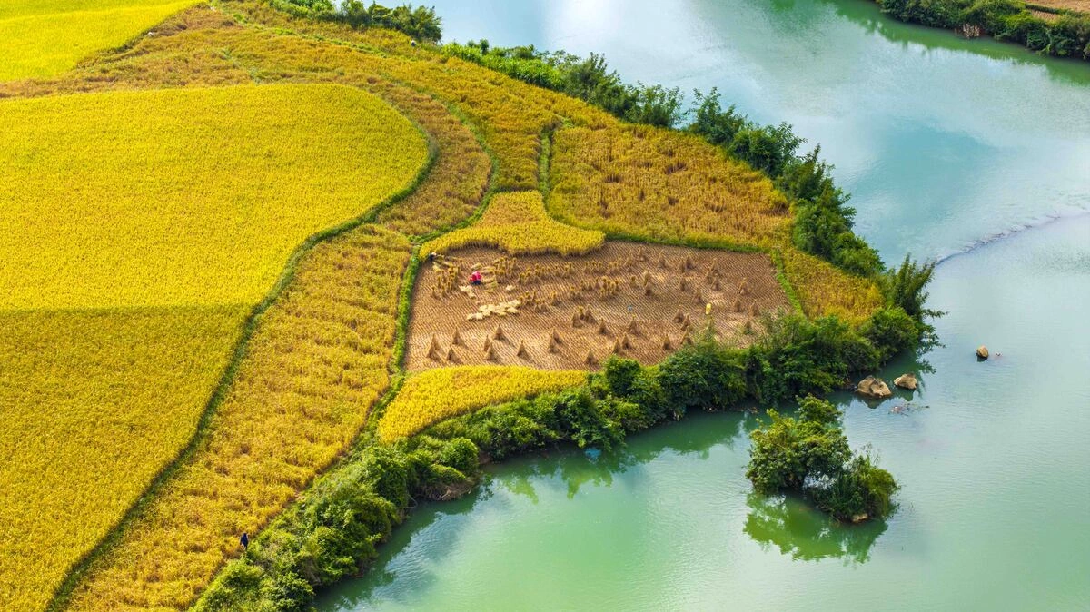 dji-20260928080258-0433-d-1791458344-1791459922