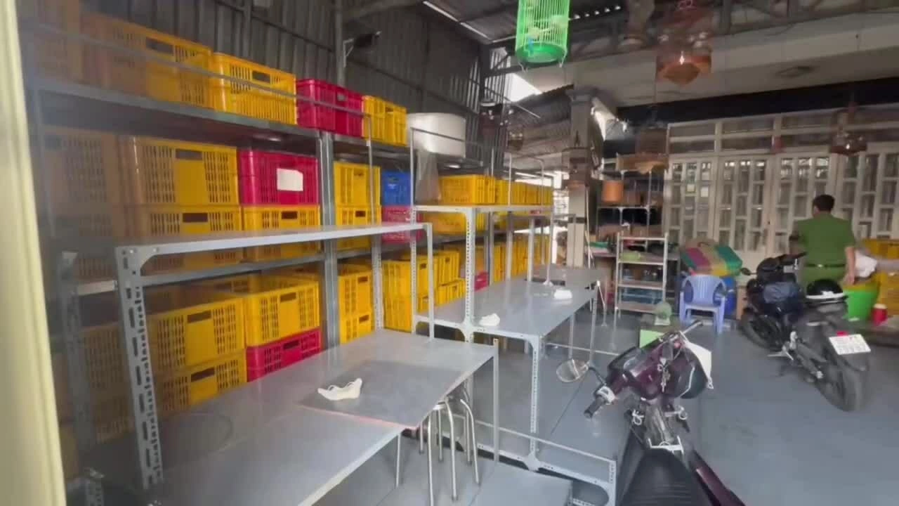khoi-to-vo-chong-ban-hon-11-000-doi-dep-gia-havaianas-1787813885 Khởi tố vợ chồng bán hơn 11.000 đôi dép giả Havaianas
