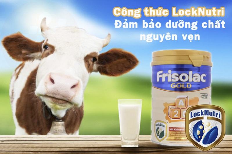 Dòng sữa Friso Gold 3 hỗ trợ sự phát triển của bé