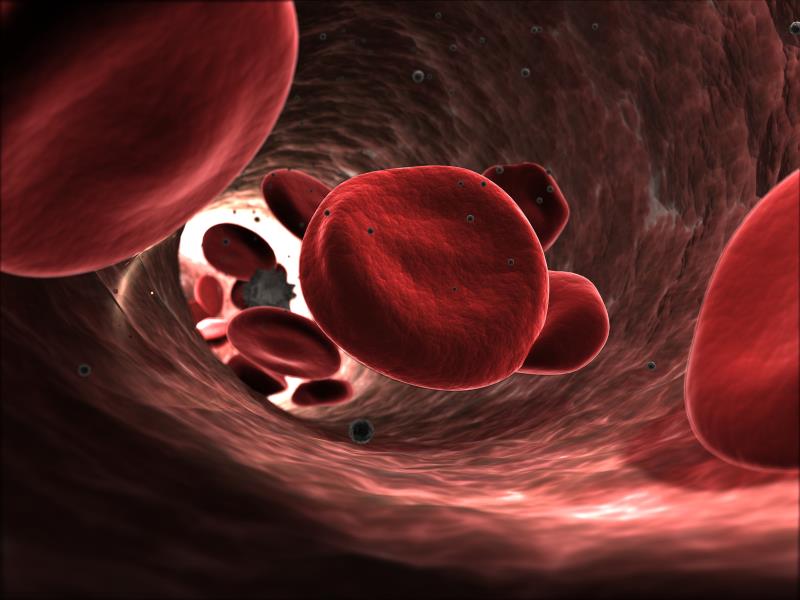 Tế bào gốc giúp lưu thông máu dễ dàng hơn 