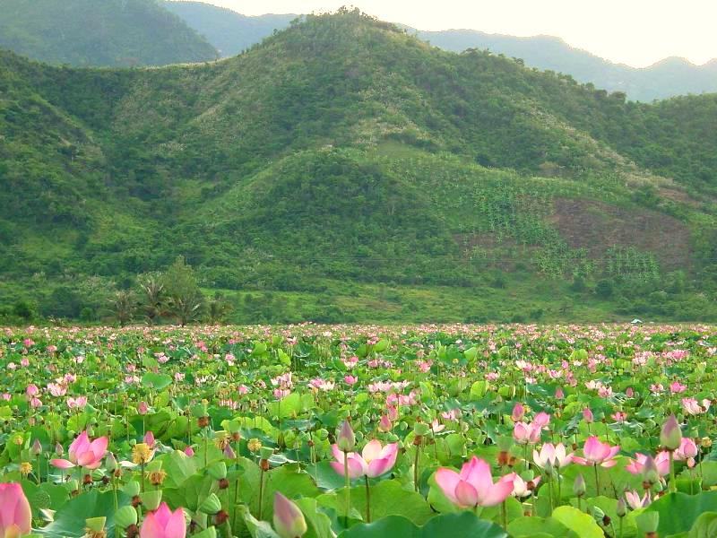Kinh nghiệm du lịch hồ Quan Sơn Hà Nội: Đường đi, Chi phí, Điểm checkin