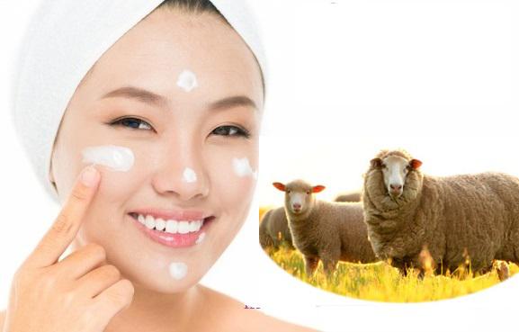 5 tác dụng của nhau thai cừu nhập khẩu từ Đức cho sức khỏe làn da