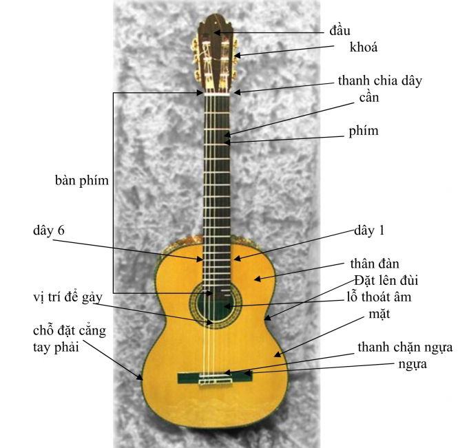 Đàn guitar Adayroi.com