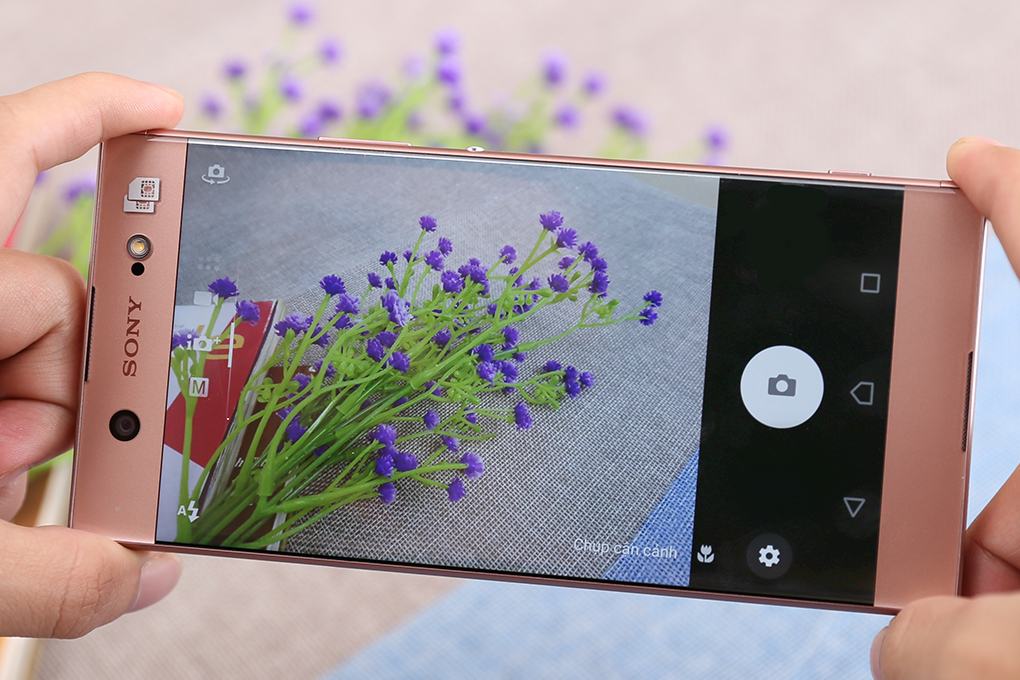 Chất lượng chụp ảnh cận cảnh của Sony Xperia XA1 Ultra rất “đáng nể”