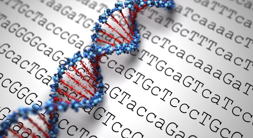 Phân tích gen giúp phát hiện những đột biến trong nhiễm sắc thể