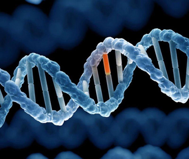 Phân tích gen giúp chẩn đoán mức độ nguy hiểm của bệnh