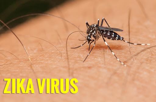Virus Zika là gì, mức độ nguy hiểm, đường lây nhiễm, phòng tránh