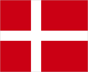 Danish Flag Covid-19 Mask — LEIREN DESIGNS