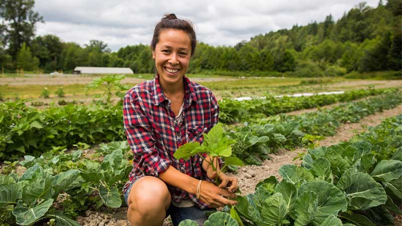 Không giống các tiểu bang khác người Việt ở Florida thích chọn công việc làm nông hơn