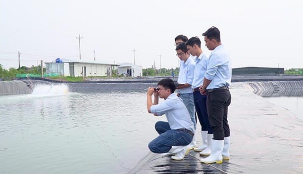 Khúc xạ kế Atago dùng trong đo độ mặn của nước nuôi trồng thủy sản - Dichvuhay.vn
