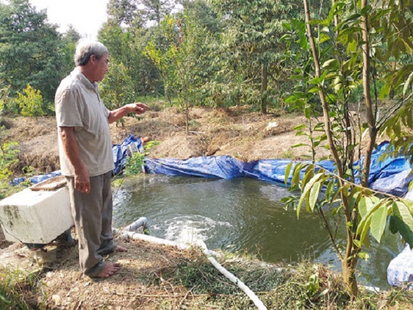 Đào mương trữ nước trong vườn sầu riêng - Dichvuhay.vn