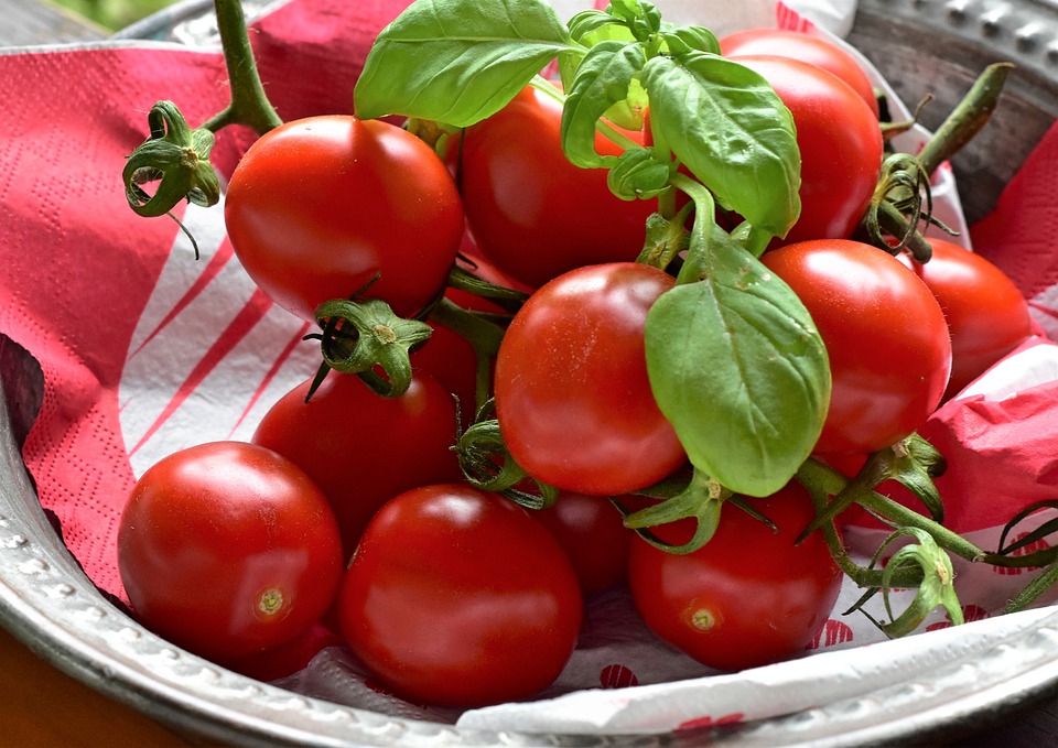 Cà chua hỗ trợ điều trị bệnh