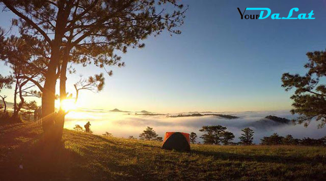 Cắm trại Đà lạt ở đâu đẹp nhất ?