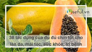 Tác dụng của đu đủ chín