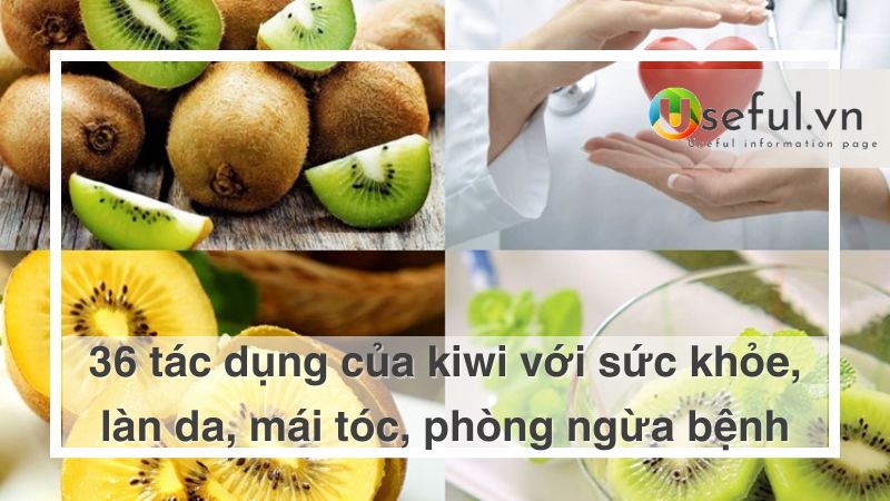 Tác dụng của Kiwi