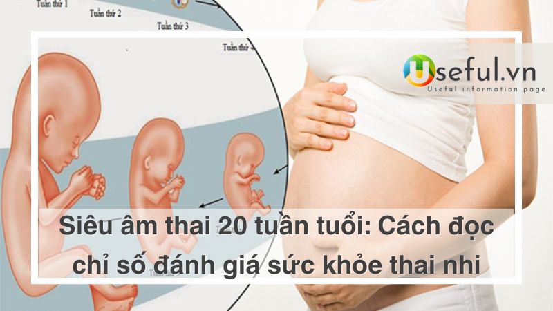 Cách đọc chỉ số đánh giá sức khỏe thai nhi