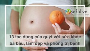 Tác dụng của quýt với sức khỏe