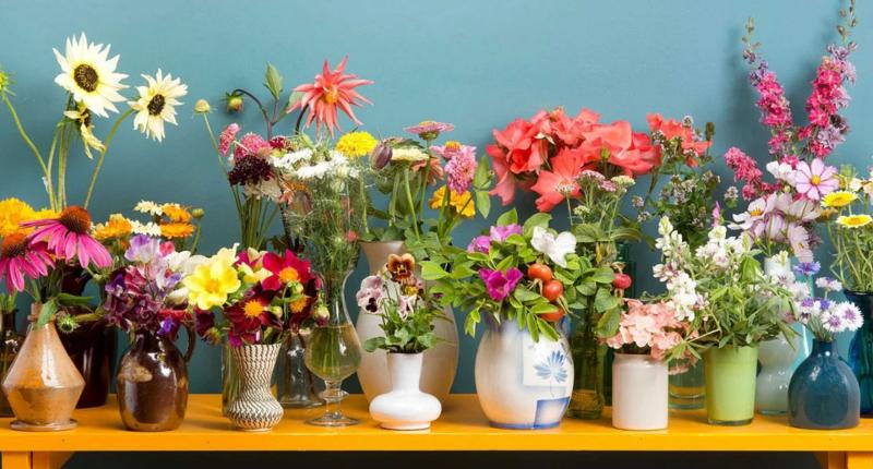 19 loại hoa chưng Tết đẹp tượng trưng cho sự may mắn tài lộc sum vầy
