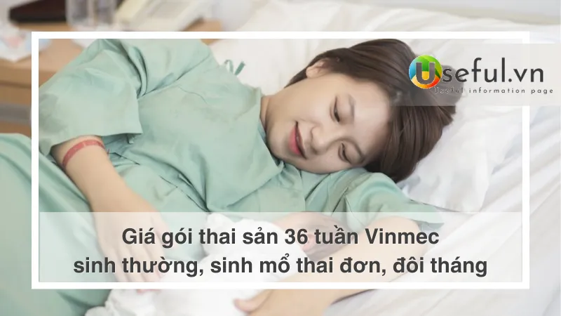 giá gói thai sản 36 tuần vinmec sinh thường và sinh mổ mới nhât [thangnam]