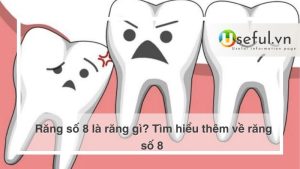 Răng số 8 là răng gì? Tìm hiểu thêm về răng số 8