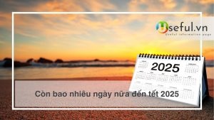 Còn bao nhiêu ngày nữa đến tết 2025 - 1