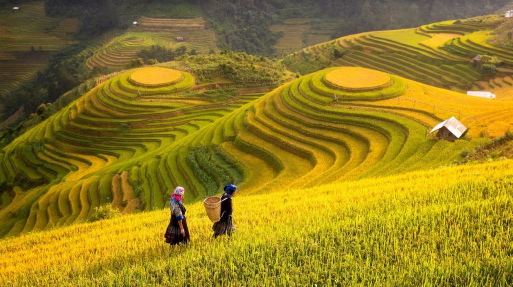 du lịch sapa