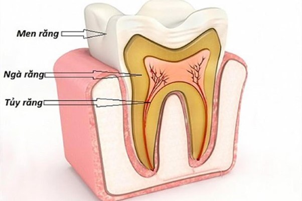 Cách nhận biết khi bị viêm tủy răng