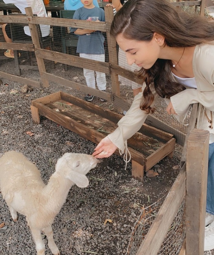 Sunny Farm là quán cà phê nông trại ở Việt Nam có nhiều bạn thú dễ thương