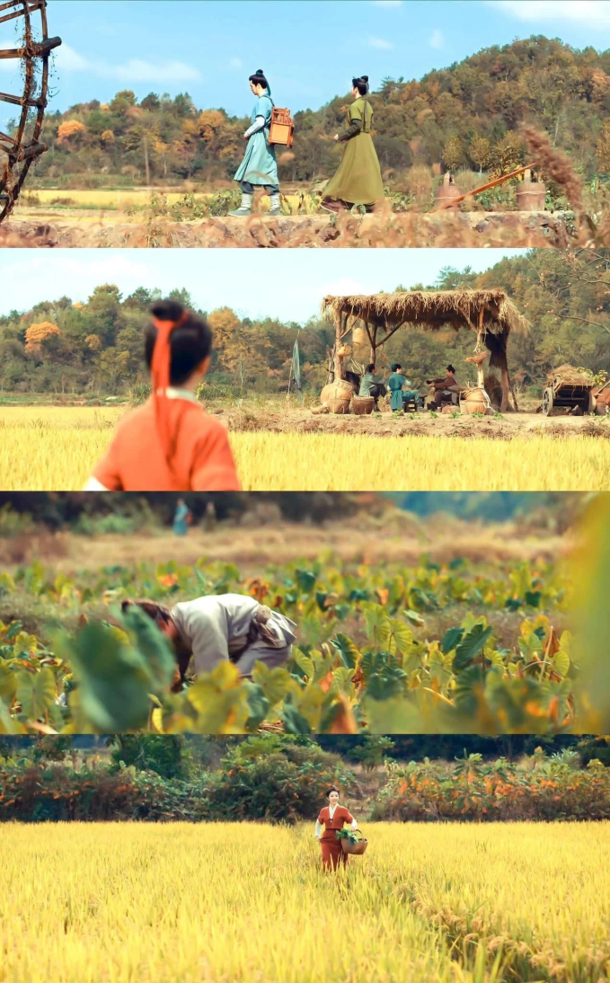 5 phim Hoa ngữ đẹp đến từng khung hình: Siêu phẩm của Lưu Diệc Phi giúp lượng khách du lịch tăng 130%- Ảnh 20.