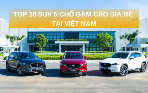 SUV 5 cho gam cao 1