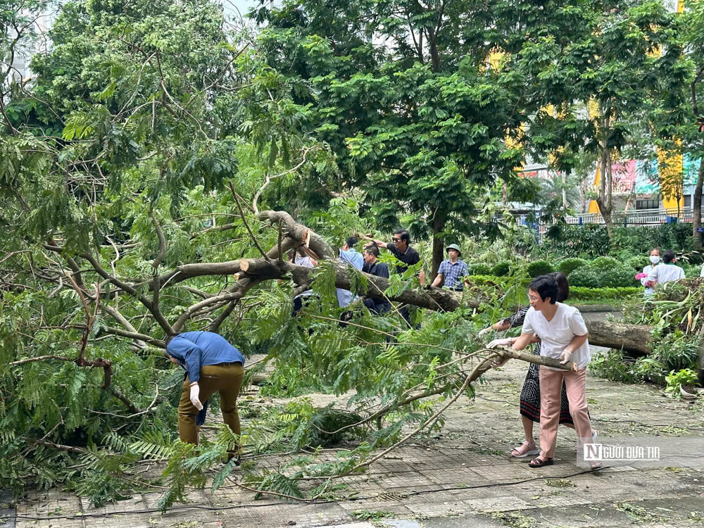 Phụ huynh nghỉ làm để hỗ trợ nhà trường dọn cây đổ sau bão- Ảnh 8.