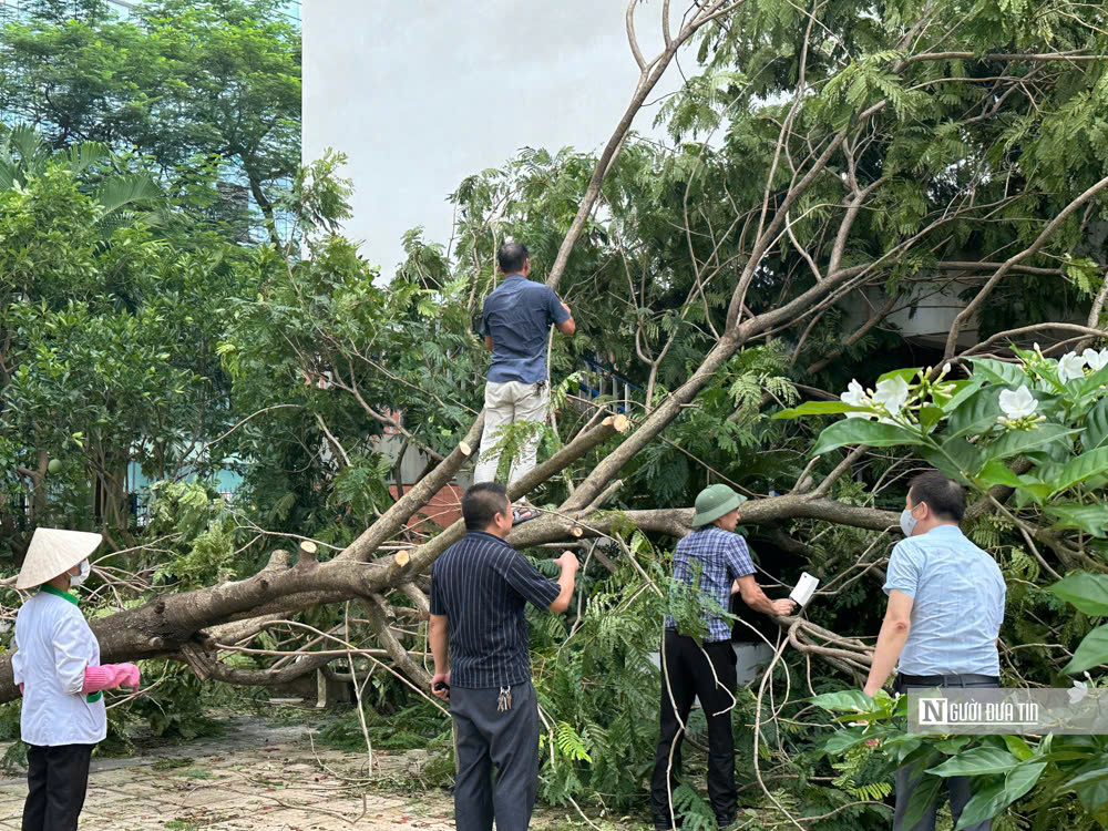 Phụ huynh nghỉ làm để hỗ trợ nhà trường dọn cây đổ sau bão- Ảnh 7.