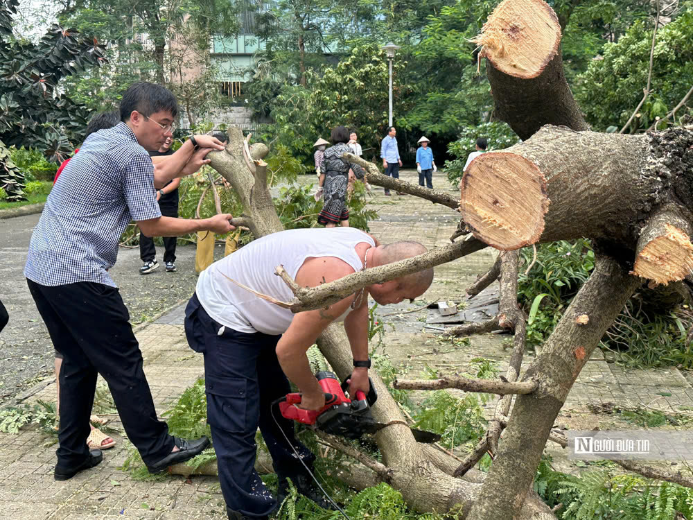 Phụ huynh nghỉ làm để hỗ trợ nhà trường dọn cây đổ sau bão- Ảnh 9.