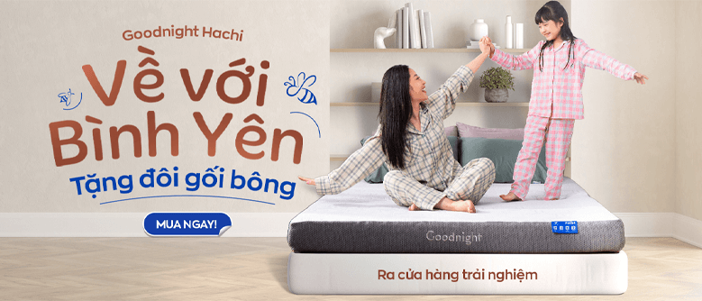 Nệm Foam Giảm Đau Lưng