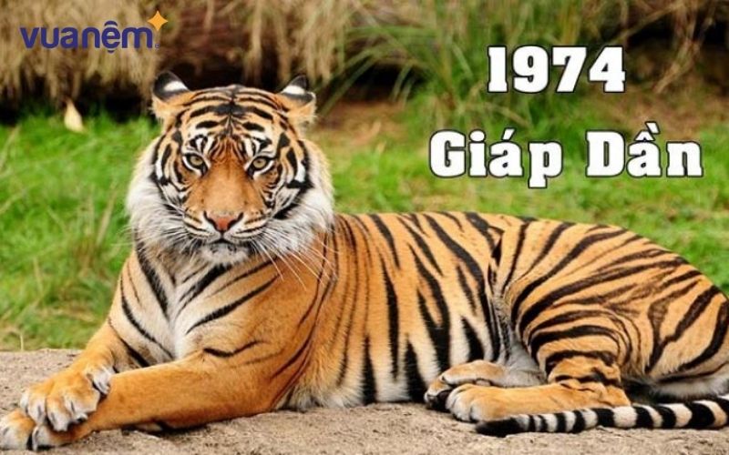 Tuổi Giáp Dần 1974